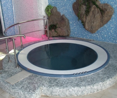 Спа бассейн Jacuzzi Alimia Professional Спа бассейн Jacuzzi Alimia Professional